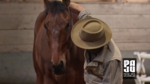 « Danse avec les chevaux », une réalisation de Blaise Piguet pour « Passe-moi les jumelles »