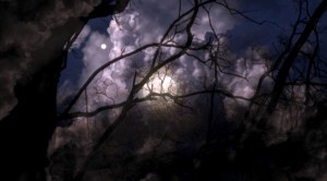 A travers des branches, une lune, dirait-on, dans une curieuse lumière. Mais ce n’est pas du « Yann Amstutz » : rencontre inattendue dans le végétal. Voici une image tirée de « The end of time » de Peter Mettler, en octobre 2012 sur les écrans romands.