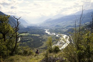 Station Horizon - le paysage, zone "bois de finges" ( Photo Rebecca Bowring - rts)